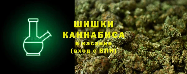 ПСИЛОЦИБИНОВЫЕ ГРИБЫ Зеленокумск
