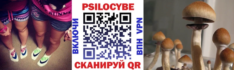 Галлюциногенные грибы GOLDEN TEACHER  Купить где  Кодинск 